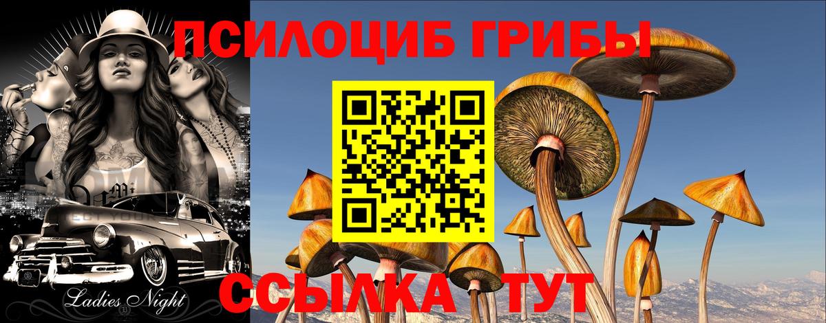 Галлюциногенные грибы GOLDEN TEACHER  Вход с VPN  Ишим 